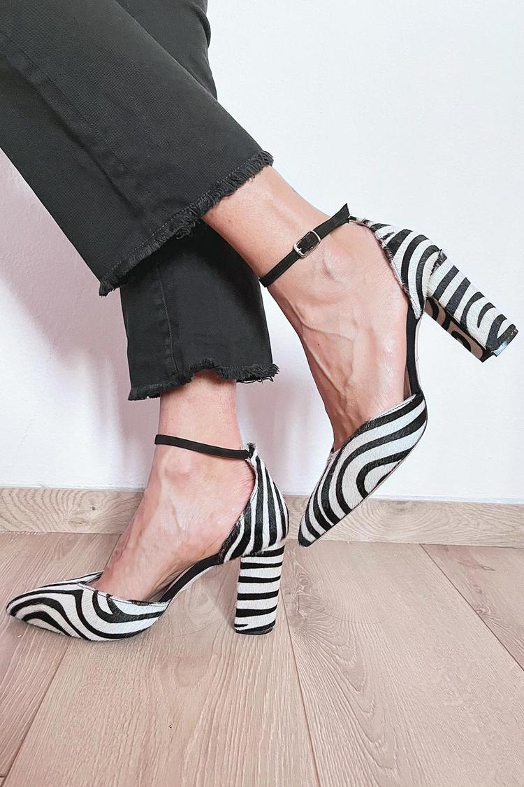 Zebra / 11